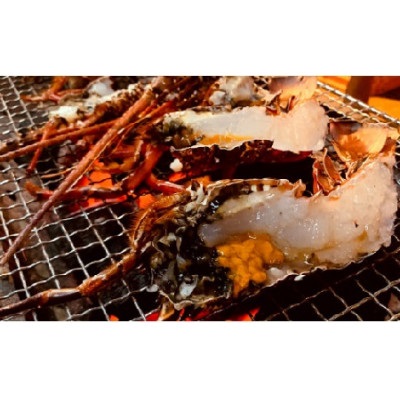 富山さん家の「伊勢海老」約1kg