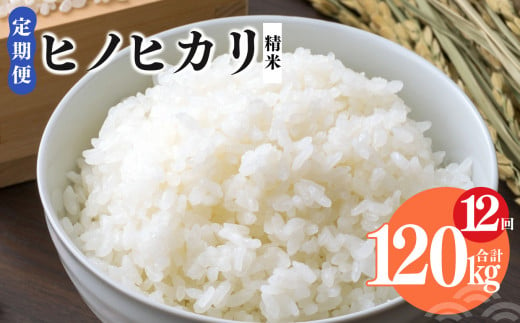 【 定期便 12回 】令和6年産 ヒノヒカリ 精米 10kg  奈良県産（ 計120kg ） | 米 こめ コメ お米 おこめ  令和6年産 令和6年 ひのひかり 奈良県 平群町 ライス 新米