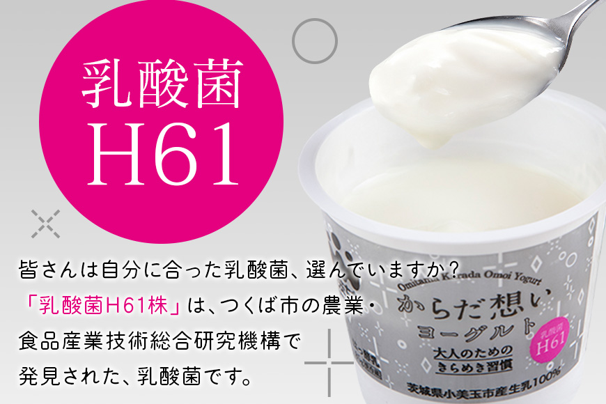 【定期便】H61乳酸菌「からだ想いヨーグルト」 20個×定期4回 1-O