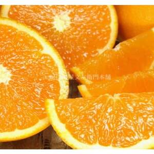 清見オレンジ 約4.5kg 湯浅町田村産 春みかん(果実サイズおまかせ)【1242244】