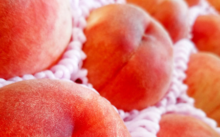 豊かな自然で、園主が愛情を注ぎ込んだ桃 （赤桃） 約2kg （6～11玉） 果物 くだもの 夏果実 フルーツ 【2026年8月発送予定】
