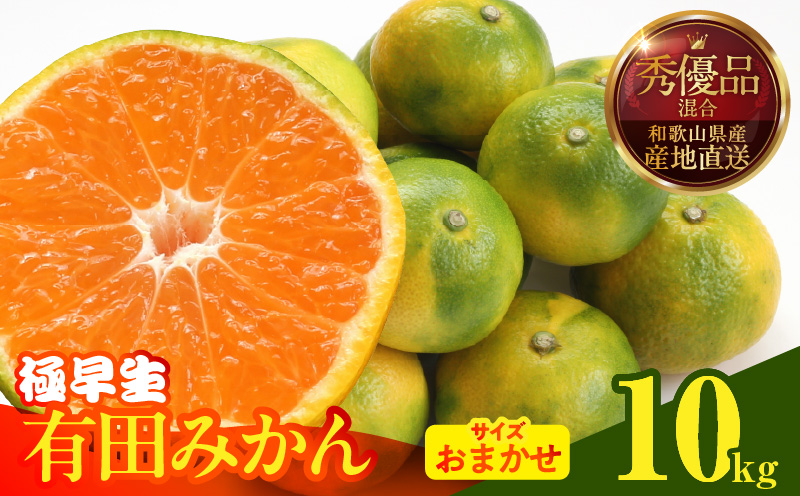 MK1070_【2026年先行予約】みかん 極早生 箱込10kg（内容量9.2kg）おまかせサイズ（S/M/L）秀品・優品 の混合 有田みかん 和歌山県産