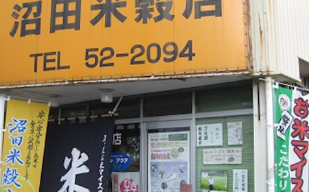 米 【全6回定期便】五ツ星お米マイスター厳選 エコ栽培米 恵の上意東産「コシヒカリ」5kg×6回 島根県松江市/株式会社沼田米穀店[ALBU008] 米 米