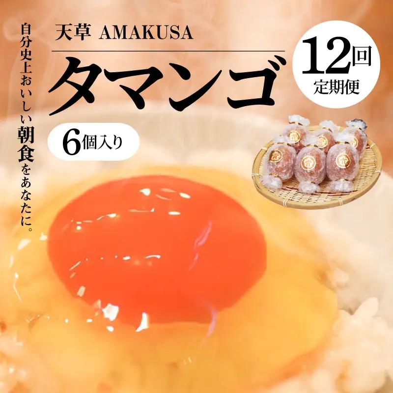 S038-T12_【定期便12回】天草 タマンゴ 6個 卵