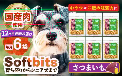 【全12回定期便】Softbits （野菜）さつまいも（40g×6P）長崎県/株式会社サポート [42AEAE041] ドッグフード おやつ 健康