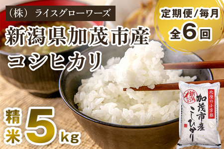 【令和8年産新米先行予約】【定期便6ヶ月毎月お届け】新潟県加茂市産コシヒカリ 精米5kg《10月上旬～順次出荷》 白米 （株）ライスグローワーズ