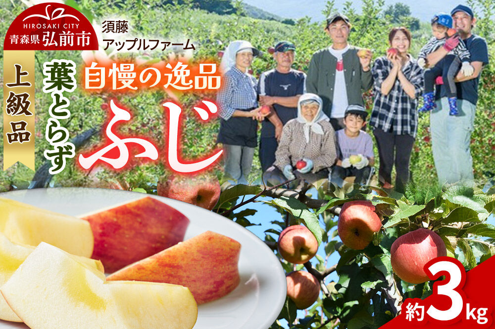 【26年11月下旬～発送】りんご 葉とらず ふじ【上級品】約3kg 先行受付 青森県 弘前市 果物 フルーツ 林檎 リンゴ くだもの ギフト 贈り物 贈答 [先行予約 産地直送 アップル おいしい 果