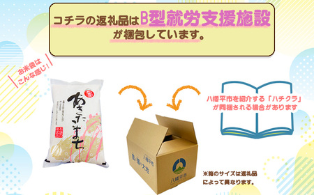 【2024年11月発送開始】 新米 あきたこまち 精米 30kg （10kg×3袋） ／ 白米 産地直送 岩手県産 【かきのうえ】