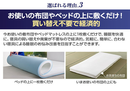 トゥルースリーパー プレミアリッチ シングル[ 寝具 マット 低反発 高反発 体圧分散 睡眠 抗菌 防カビ 防ダニ 肩 腰 ]