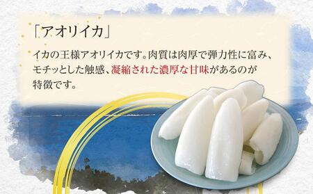 むきあおりいか 約3kg (1kg×3) 下処理済 冷凍 小分け【水イカ アオリイカ いか イカ イカ刺身 刺身 いかソーメン 天ぷら 香川県 讃岐 さぬき】