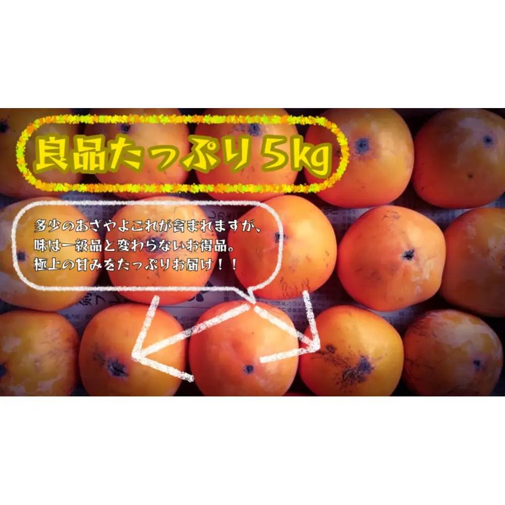 【先行予約】【鳥取市産・良品】花御所柿 約5kg｜甘柿最高クラスの糖度 追熟でとろける食感 和製マンゴーとも称される希少ブランド柿