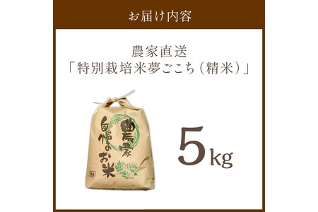 2025年産 京都・京丹後峰山 特別栽培米夢ごこち 5kg 【白米】