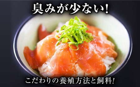 玄海サーモン3種詰合せ（切り身、醤油漬け、クリーム煮）佐賀県 [41AECT005]