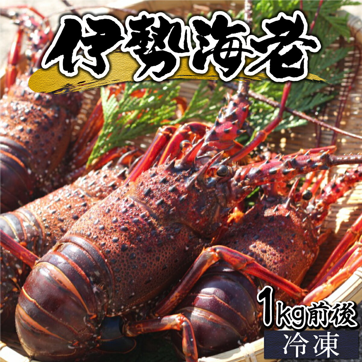 【ふるさと納税】【先行予約】【数量限定】＜生冷凍＞宮崎県串間産 天然伊勢エビ(計約1kg前後・2〜4匹) 串間産の伊勢エビを鮮度そのままにお届け！ 生のまま冷凍しているのでお刺身・焼物・味噌汁でも頂けます！【豊漁丸】【KU346】