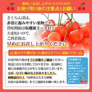 山形市産 さくらんぼ【紅秀峰】 Lサイズ 800g(200g×4P) 【令和9年産先行予約】FS24-755
