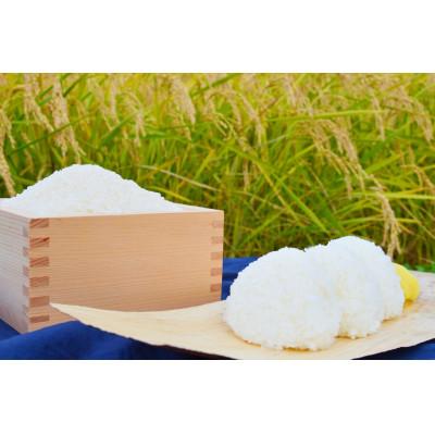 ふるさと納税 白馬村 【毎月定期便】『白馬そだち』長野県白馬村産　お米　ミルキークイーン5kg(精米)全2回 |  | 01