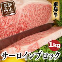 【ふるさと納税】 A5等級 飛騨牛 サーロインブロック 1kg | ブロック肉 豪快 肉の塊 ステーキ ブロック 肉 牛肉 和牛 国産牛 A5ランク 飛騨高山 ながせ食品 FH020