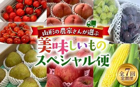 《先行予約 2026年発送》山形の農家さんが選ぶ！美味しいものスペシャル便 FSY-2723