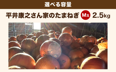 岩見沢産「平井康之さん家のたまねぎ」M玉 2.5kg【食絶景北海道×ゼロカーボンアワード2024 奨励賞『オニオンスナック オニカ』で使用】たまねぎ 玉葱 タマネギ 産地 まとめ買い 贈り物 甘い 野
