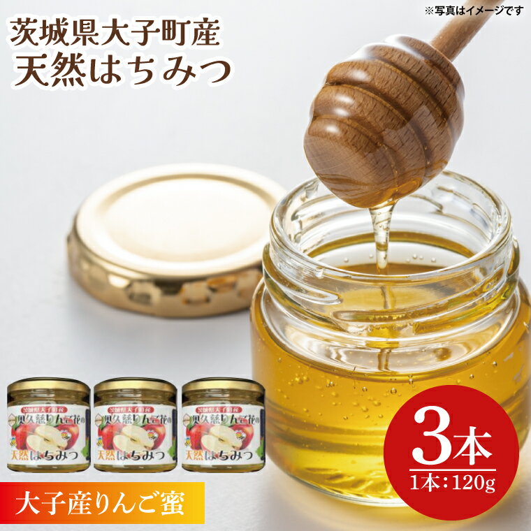 【ふるさと納税】【2026年10月～2027年4月発送】天然はちみつ【大子のりんご蜜 120g×3本セット】|茨城県 大子町 奥久慈 ハチミツ 蜂蜜 プレゼント 包装(BG003)