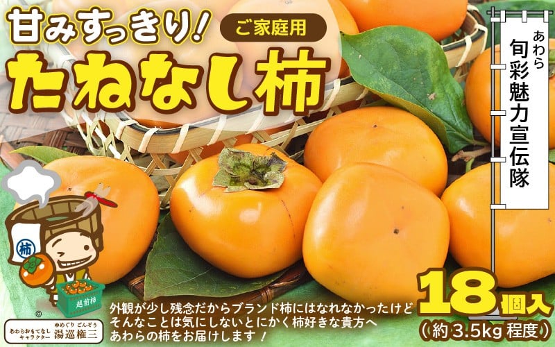 
            【先行予約】【訳あり】甘みすっきり！あわらのたねなし柿 約3.5kg（18個入）（ご家庭用） ／ 果物 フルーツ かき 種なし  産地直送 期間限定 ※2025年10月中旬以降順次発送 [aw031-a006]
          