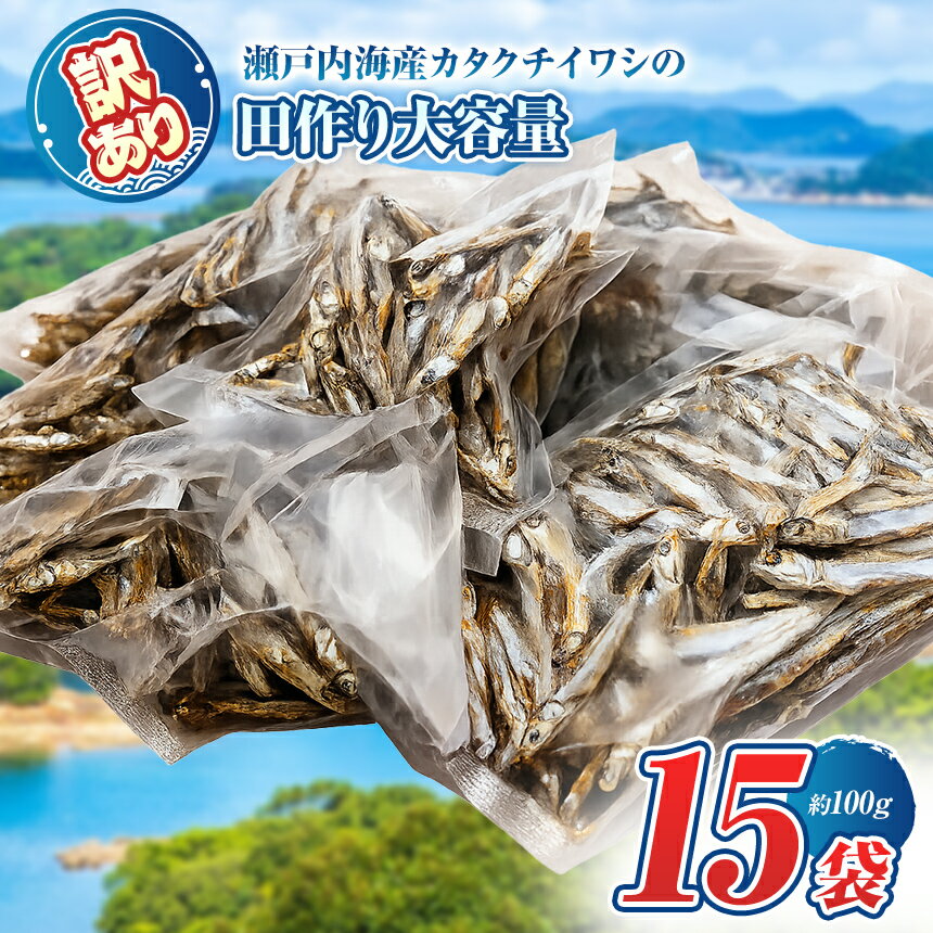 【ふるさと納税 】 うま味 調味料 不使用 ！ 訳あり 田作り（ 大きめ 約 7 cm ） ( 100 g × 15 袋 ) ｜ 魚 干物 つまみ 珍味 海の幸 瀬戸内 山口県 平生町