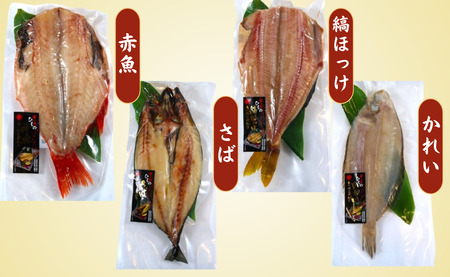 【丸安】 笹の葉干物セット（大海）まとう鯛 縞ほっけ 赤魚 さば かれい 金目鯛 かさご 創業90年 干物 干物専門店 高級干物 和食 老舗 国内 厳選 拘り 製造 小分け ひもの 魚 魚料理 セット