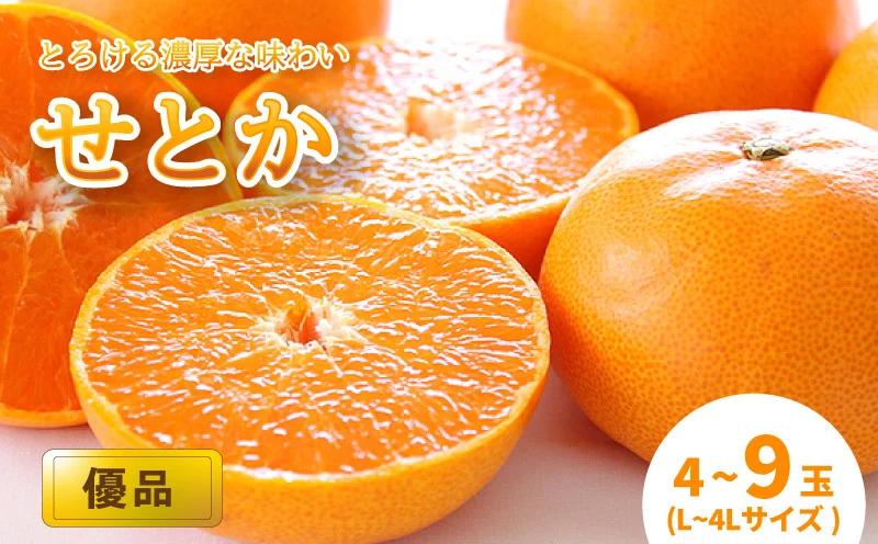 【2月中旬から発送】 せとか ＜ 優品 ＞ 優品（L～4L / 4～9玉）| みかん せとか 優品 柑橘 愛媛県 松山市 松山市産せとか 柑橘の大トロ「せとか」 柑橘 みかん ミカン せとか 優品せとか ふるさと納税せとか