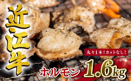 近江牛 ホルモン 1.6kg (200g×8p) カットなし 冷凍 黒毛和牛 ( ブランド 丸ごと  小腸 コプチャン ホソ コテッチャン 腸 肉 業務用 小分け モツ ヒモ パリパリ ジュワッ ジューシー ほるもん もつ モツ鍋 もつ鍋 人気 鍋セット 焼き肉 焼肉セット 焼肉 ほるもん  三大和牛 贈り物 ギフト 滋賀県 竜王町 岡喜 神戸牛 松阪牛 に並ぶ 日本三大和牛 ふるさと納税 )