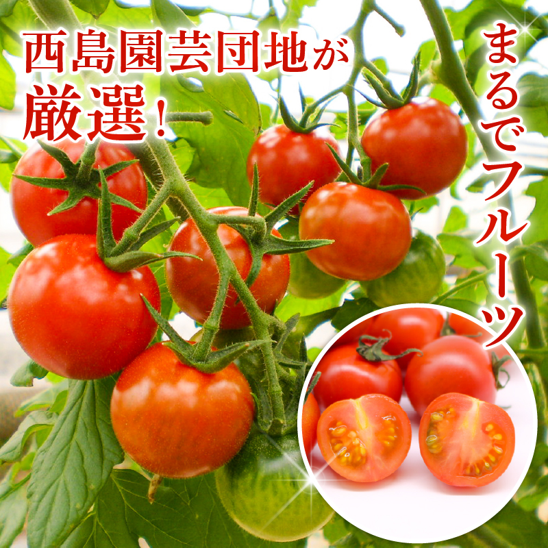 フルティカトマト 2kg | トマト フルティカトマト とまと フルーツ 果物 野菜 厳選 人気 ギフト プレゼント 贈り物 くだもの 旬 お取り寄せ 甘い 産地直送トマト 季節限定 期間限定 西島園