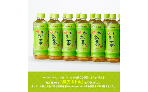 【6ヶ月定期便】おーいお茶 緑茶600ml×24本 PET【 飲料 飲み物 ソフトドリンク お茶 ペットボトル 備蓄 全6回 送料無料】宮崎県川南町 [D07351t6]