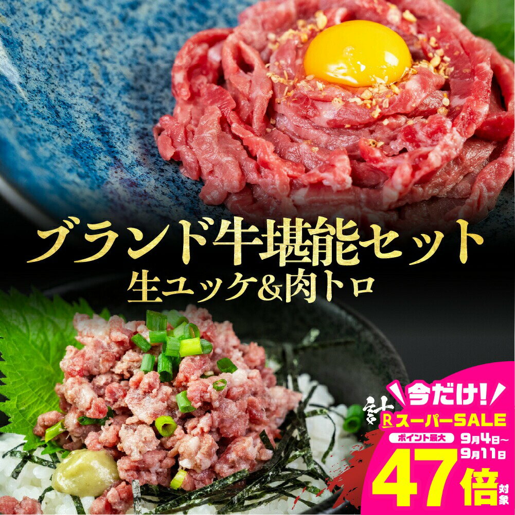 【ふるさと納税】 和牛ユッケ＆肉トロ 生食牛肉セット（源氏和牛ユッケ / 段戸山高原牛肉トロ）タレ付 冷凍 生食認定工場 安全 鮮度 牛肉 お肉 小分け 冷凍 黒毛和牛 生食用 希少 セット 牛トロ 詰め合わせ 簡単調理 おつまみ つまみ 愛知県 豊橋市10000円 1万円
