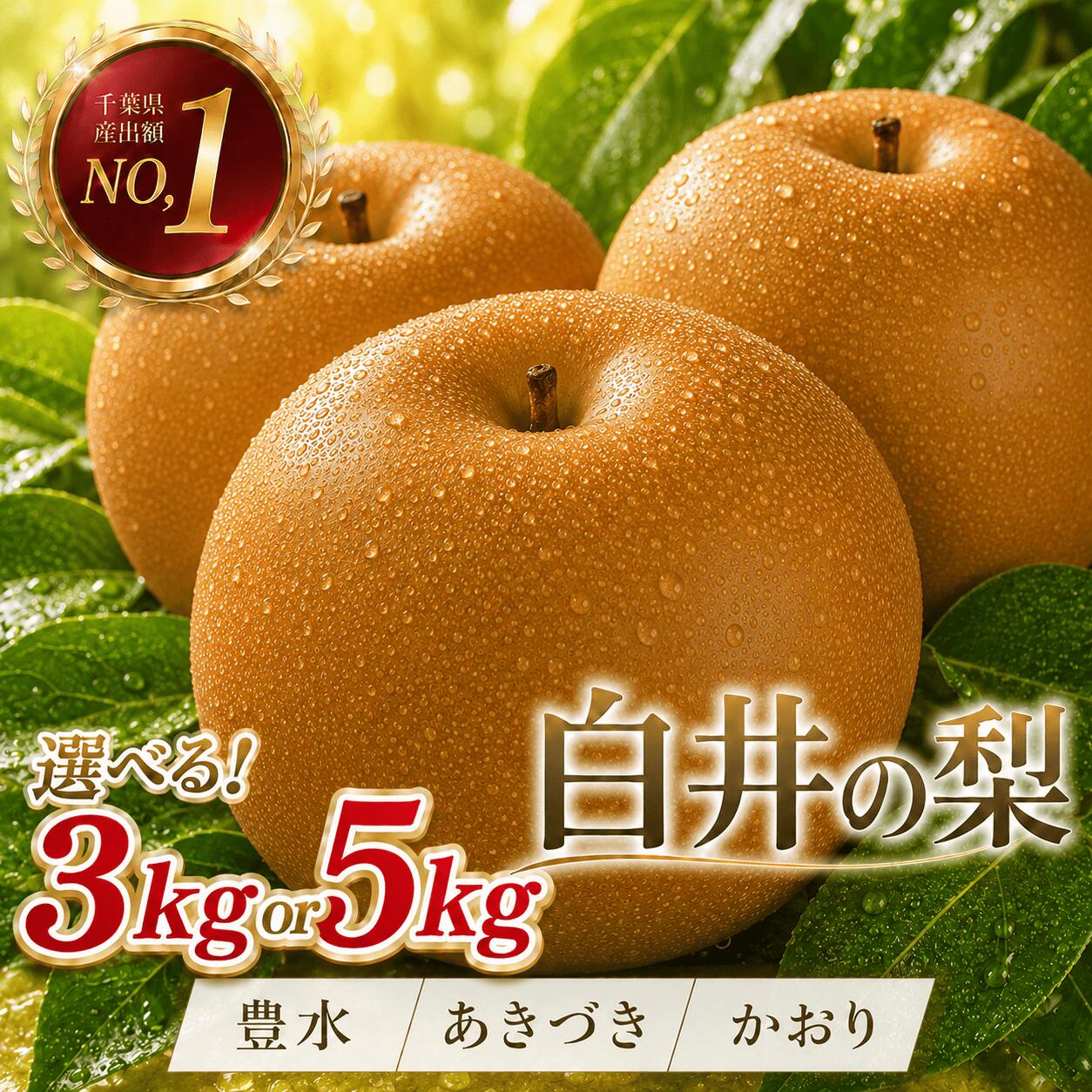 【ふるさと納税】【2026年先行予約】選べる品種 しろいの梨 3kg～5kg（豊水・あきづき・かおり） [ 梨 豊水 梨 あきづき 梨 かおり 3kg 5kg 梨 千葉 梨 秋 旬 千葉県 和梨 なし ナシ 3キロ 5キロ フルーツ 果物 くだもの 甘い ジューシー 白昇園 白井市 ふるさと納税 ]