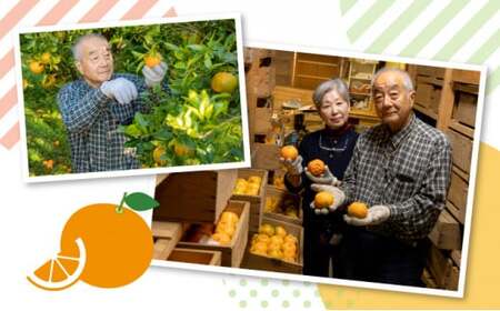 【先行予約】訳ありポンカン 5kg（L~3Lサイズ） 国産 東洋町産 訳あり 甘酸っぱい ジューシー 蜜柑 ミカン高知県 東洋町 四国 お取り寄せ フルーツ 果物 送料無料 TA12 【田中農園】