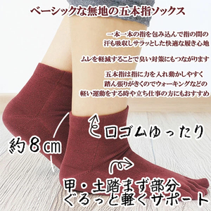 靴下 日本製 5本指 五本指 ソックス レディース ロークルー丈 2足 セット 表糸綿100％ 口ゴムゆったり 無地 23～25cm 女性 婦人 五本指靴下 くつした くつ下 2足組 シンプル ブラッ