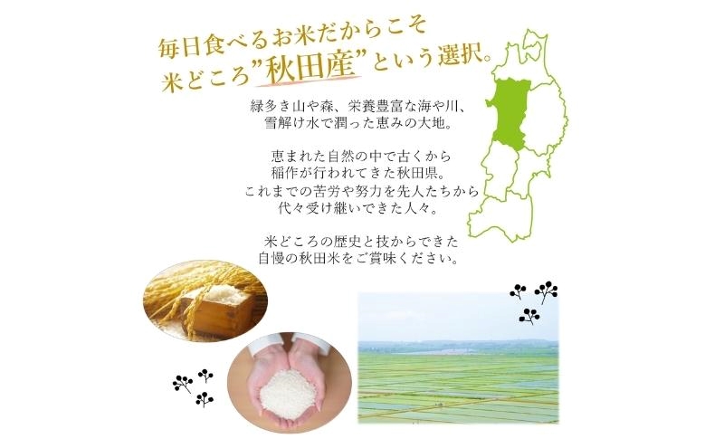 令和7年産 新米 食べ比べ セット 玄米 ひとめぼれ＆あきたこまち 各5kg 計10kg 秋田県 能代市産 お米 ブランド米