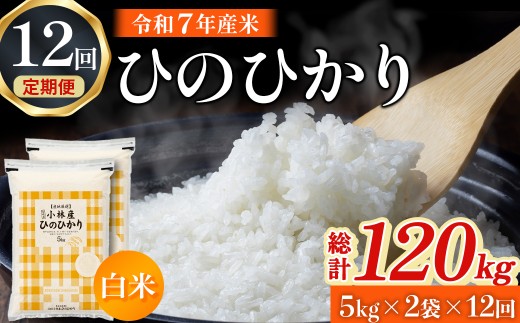 【令和7年産米】ヒノヒカリ 10kg×12回 お米 米 令和7年産 ヒノヒカリ 国産 定期便 人気 お弁当 おにぎり 宮崎県 小林市