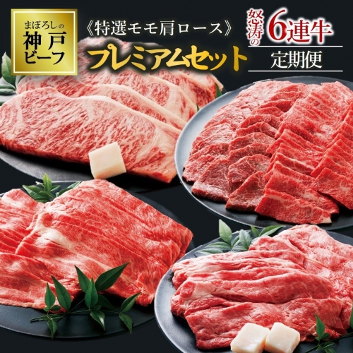 【冷蔵・年６回お届け】特選 黒田庄和牛霜降り・肩ロースプレミアムセット（焼肉・すき焼き・しゃぶしゃぶ・ステーキから選べます！）