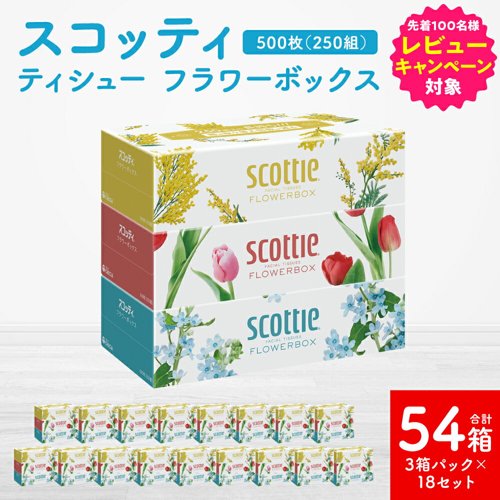 【ふるさと納税】【スコッティ】 ティシュー フラワーボックス 250組（3箱パック×18 合計54箱） ティッシュ 日用品 生活必需品 送料無料
