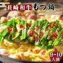 【ふるさと納税】 【須川屋台道場】長崎和牛 もつ鍋セット （9〜10人前） / スープ ミックスホルモン モツ もつ鍋 / 南島原市 / はなぶさ [SCN002]