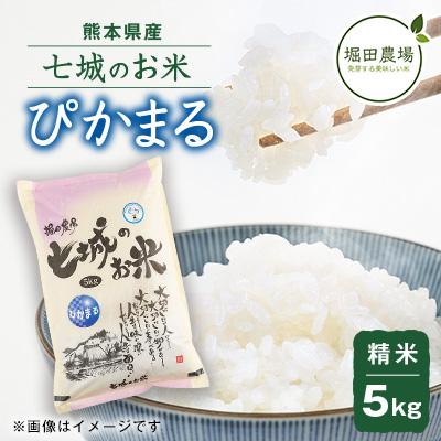 ふるさと納税 菊池市 【熊本県産】 七城のお米 ぴかまる 5kg