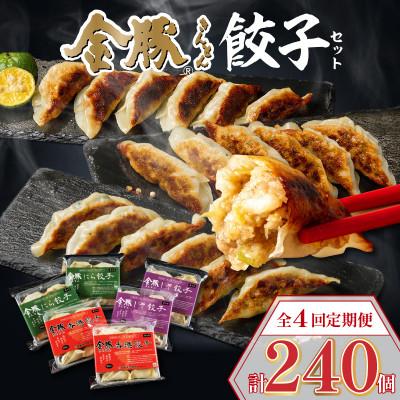 ふるさと納税 宮崎市 【発送月固定定期便】金豚餃子セット(香港・しそ・にら)1パック10個入×各2パック　計60個全4回