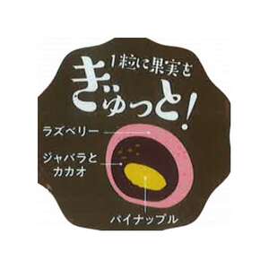 園田学園大学×タカオカチョコレート「贅沢ショコラタイム」　3個セット【配送不可地域：離島】【1635865】