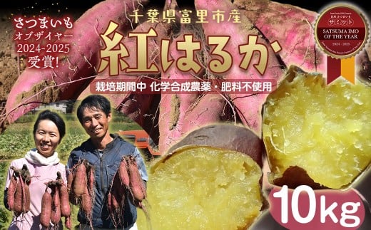 【先行予約】【2026年1月から順次発送】さつまいも(紅はるか)　10kg TMAE002 / さつまいも サツマイモ  紅はるか べにはるか   シルクスイート  しるくすいーと おさつ 甘藷 唐いも あまい 甘い スイーツ スイート ポテト おやつ 焼き芋 千葉県 富里市