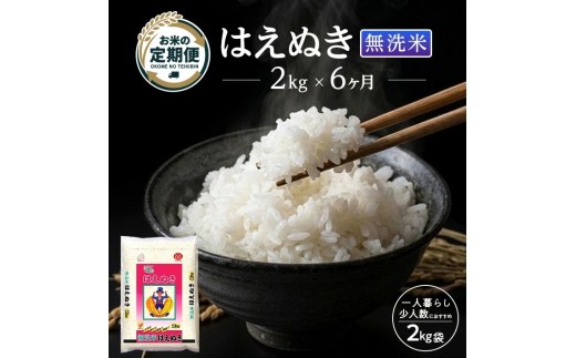 【定期便】庄内産無洗米はえぬき2kg×6ヶ月連続下旬発送 計12kg（6月～11月）