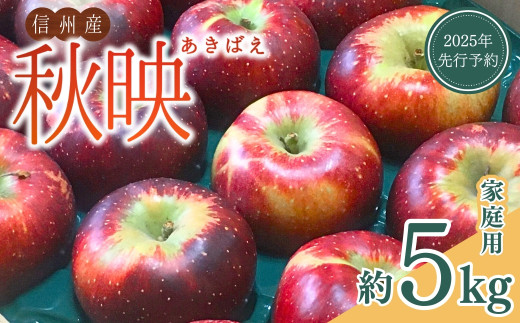 【2025年先行予約】訳あり りんご 秋映(長野県オリジナル品種) 家庭用 約5kg 太陽の恵みたっぷり 林檎 あきばえ 千曲市 長野県産 信州
