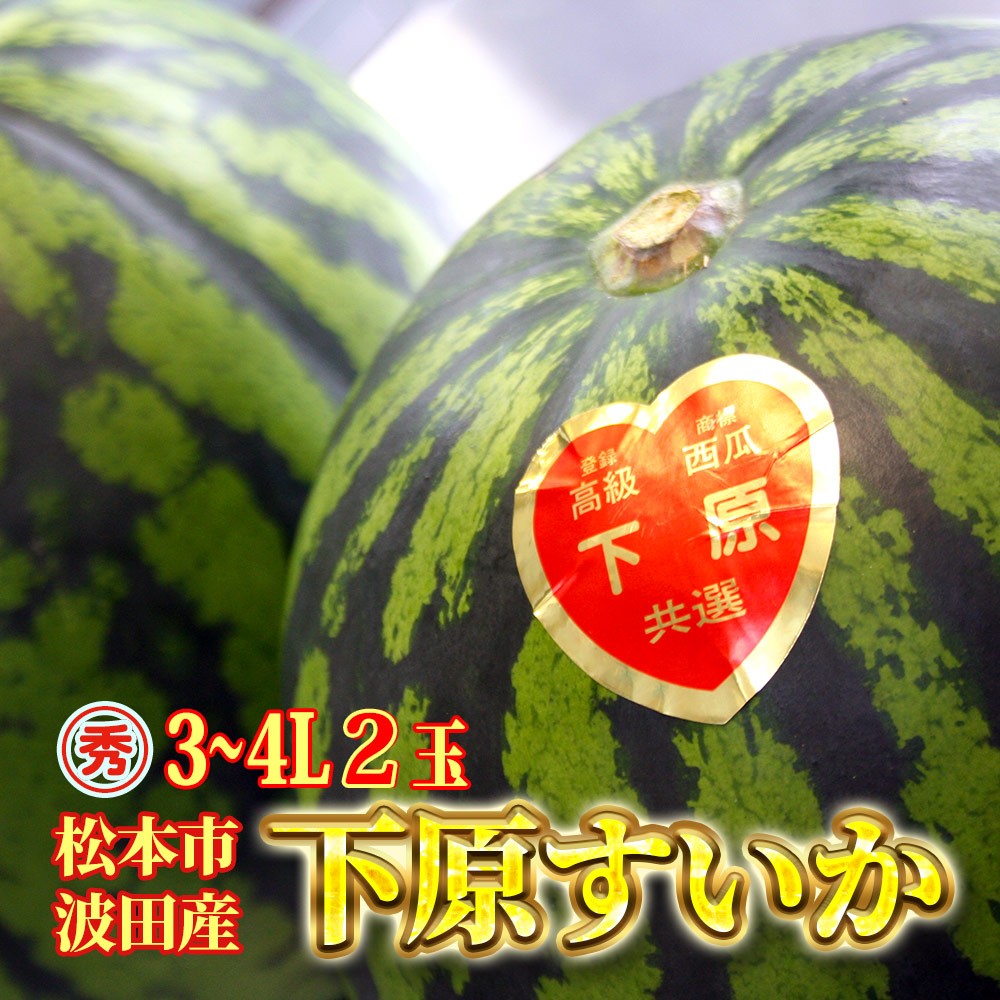 
                  スイカ 下原すいか 信州 松本波田産 3～4L ( 8kg ～ 11kg ) × 2玉 | フルーツ 夏 スイカ 西瓜 大玉スイカ シャキ感 甘い ふるーつ 果物 野菜 長野県 松本市 信州産 人気
                