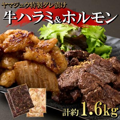 ふるさと納税 室戸市 ヤマジュウの特選タレ漬け!牛ハラミ肉1kg&amp;国産牛ホルモン600g