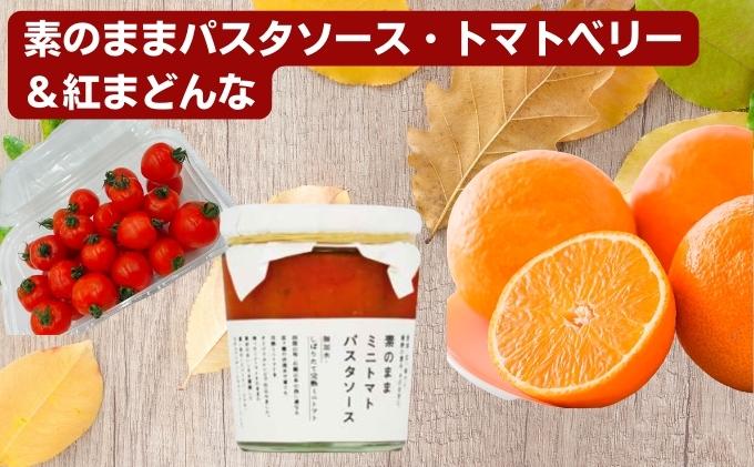 「栗林農園」素のままパスタソースとトマトベリーと紅まどんなのセット 素材の味 無水調理 凝縮 無着色 無香料 化学調味料 不使用 合成保存料 ミニトマト みかん