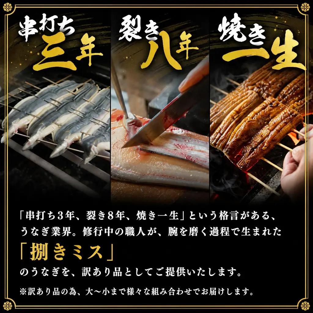 訳あり うなぎ白焼き 計1kg（4～10尾入り）不揃い バラツキ 数量限定 宮崎県産 冷凍 蒲焼タレ付 2週間以内出荷【E224】